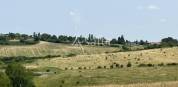 Jolie propriété agricole à 5 min d'Agen