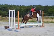 Ponette de sport 