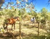 Ecurie de Propriétaires - Pension chevaux 