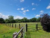 Pension chevaux - Domaine de Kervec