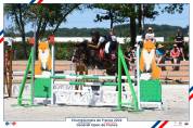 Poulain welsh pony - excellentes origines