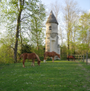 Loue pâtures à Soissons pour 200€/cheval/mois