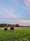 Belle propriété agricole et parc animalier sur 33ha