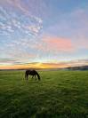 Belle propriété agricole et parc animalier sur 33ha