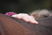 Moniteur d'équitation