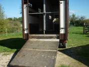 Vends camion chevaux/poneys VW LT35