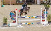 Poney D sport