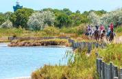 JOLIE ÉCURIE DE TOURISME ÉQUESTRE EN PETITE CAMARGUE