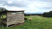 Ferme rénovée 6 hectares attenants