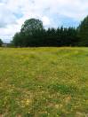 Propriété équestre 200m2, 1,2 ha  45 minutes Fontainebleau