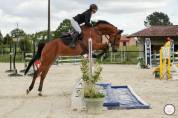 Jument de 6 ans 1,72 m CSO 135/145cm très facile 