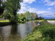 Maison familiale 20 min Genève 2 hectares