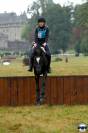 Galahad des Allees, entier Welsh cob D de 8 ans