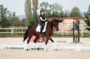 Jument de Dressage qui vous fera briller