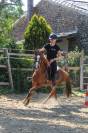 Poney B Welsh ONC 9 ans 