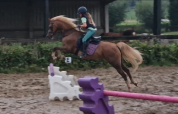 Poney Welsh C avec une grande capacité de saut