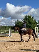 Pouliche Zangersheide 5 ans - Saut d'obstacles