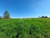 SUD GIRONDE - A VENDRE propriété élevage ou autres