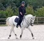 Sf pour dressage et loisirs 