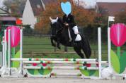 Poney de concours, 6 ans, pour p2 potentiel évolutif ++