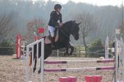 Poney de concours, 6 ans, pour p2 potentiel évolutif ++