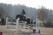 Poney de concours, 6 ans, pour p2 potentiel évolutif ++