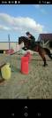 Poney concours, 11ans, maxi C, p2 potentiel évolutif ++