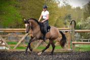 CHIC CHEVAL SPORT PRE 