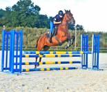 Magnifique jument ps 5 ans cso loisir dressage 