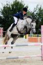 Cheval - idéal amateur pour CSO