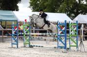 Cheval - idéal amateur pour CSO