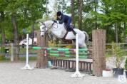 Cheval - idéal amateur pour CSO