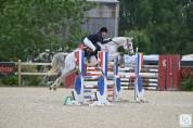 Cheval - idéal amateur pour CSO