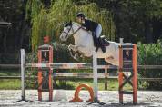 Poney pour GP as élite 