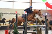 Jument CSO/CCE top concours