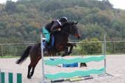 Ponette D PFS CSO