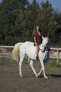 Lipizzan hongre 6 ans - Dressage