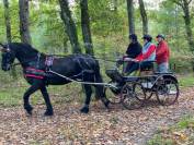 Voiture attelage Pouvreau