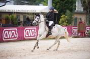 Ponette camarguaise 