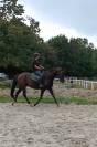 Cheval Loisir/Dressage 