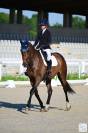 Jument CCE potentiel minimum 3*