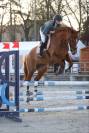 Jument CSO 9ans 