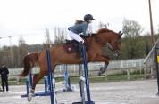 Jument CSO 9ans 