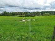 Au sud du département de la Haute-Vienne, propriété de 26 ha.