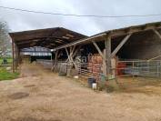 Ferme sur 33ha (SAU)