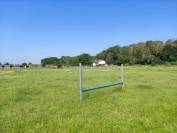 Pension pour chevaux dans la Plaine de l'Ain