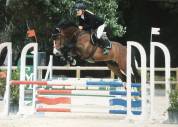 Cheval cso 