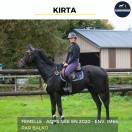 MAGNIFIQUE JUMENT - KIRTA - 4 ANS