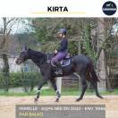 MAGNIFIQUE JUMENT - KIRTA - 4 ANS