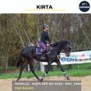 MAGNIFIQUE JUMENT - KIRTA - 4 ANS